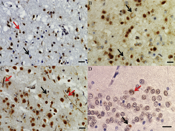 publication image