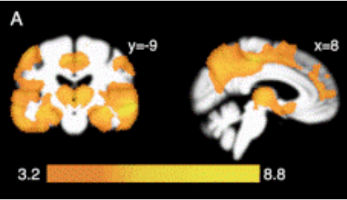 publication image