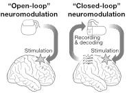 Figure 1 of paper: open-loop and closed-loop neuromodulation.