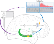 Figure of paper: Responsive Neurostimulation System.