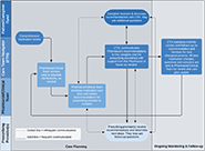 Figure 3 of paper: Flowchart of the Care Ecosystem Medication Review Intervention and Monitoring Process.